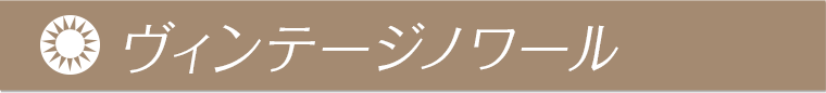 鈴木愛理イメージモデル candymagic 1day&AQUA-キャンディーマジックワンデー&アクア| ヴィンテージノワール