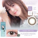 (2箱セット)【フランミー】佐々木希イメージモデル 2箱20枚 （1日使い捨て） ［フラワームーン］