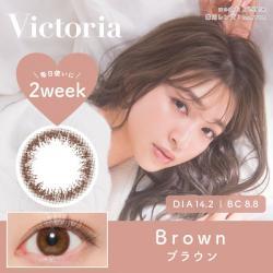 【Victoria 2week／ヴィクトリア2ウィーク】上西星来モデル 1箱6枚 （2週間装用）［ブラウン］