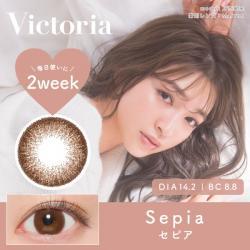 【Victoria 2week／ヴィクトリア2ウィーク】上西星来モデル 1箱6枚 （2週間装用）［セピア］