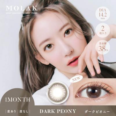 (2箱セット)【MOLAK 1month/モラクマンスリー】宮脇咲良イメージモデル 2箱4枚（1ヶ月装用）［ダークピオニー］