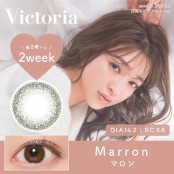 【Victoria 2week／ヴィクトリア2ウィーク】上西星来モデル 1箱6枚 （2週間装用）［マロン］