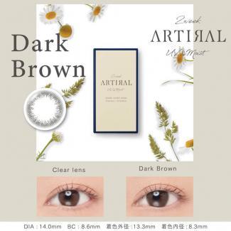 (2箱セット)【ARTIRAL 2WEEK UVM／アーティラル 2ウィーク UVM】2箱12枚［Darkbrown（ダークブラウン）］