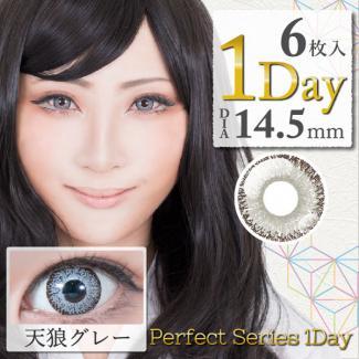 (2箱セット)【DOLCE Perfect 1day／ドルチェパーフェクトワンデー】2箱12枚 (1日使い捨て)［天狼グレー]