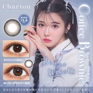 (2箱セット)【Charton／シャルトン】2箱20枚 [コーヒーブラウニー]