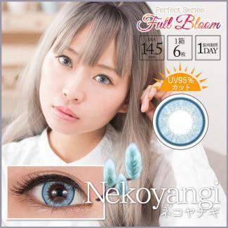 【パーフェクトシリーズワンデー フルブルーム/ PerfectSeries 1day Full Bloom】1箱6枚（1日使い捨て）［ネコヤナギ］