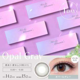 (2箱セット)【Miche Bloomin Iris Glow／ミッシュブルーミンアイリスグロー】 2箱20枚 (1日使い捨て) [オパールグレー]