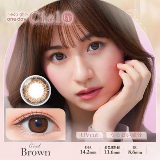 【ネオサイトワンデーシエルUV】白宮みずほモデル 1箱30枚 （1日使い捨て） ［ブラウン］