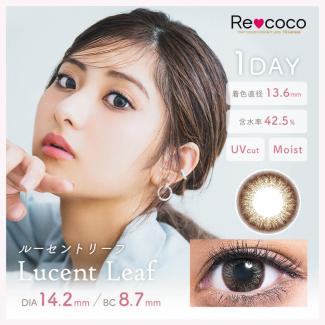 【リココ／Re coco】 1箱10枚（1日使い捨て）[ルーセントリーフ]