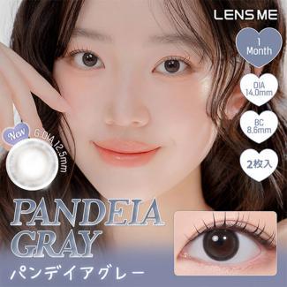 (2箱セット)【YOUS 1month/ユースマンスリー】2箱4枚（1ヶ月装用）［パンデイアグレー］