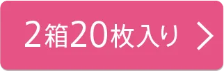 2箱20枚入り
