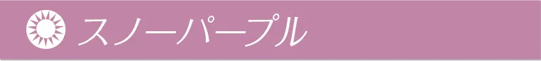 益若つばさプロデュースカラコン Angelcolor Bambi 1day -エンジェルカラーバンビワンデー｜スノーパープル