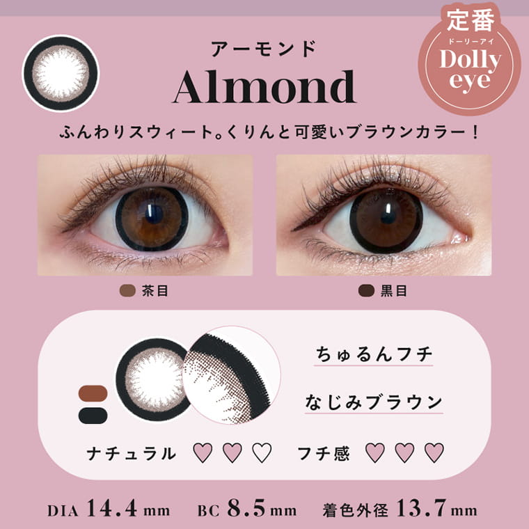 Angelcolor Bambi Series 1day バンビシリーズ|Almond アーモンド ふんわりスウィート。くりんと可愛いブラウンカラー! 定番Dolly eye 茶目 黒目 ちゅるんフチ なじみブラウン ナチュラル♡♡ フチ感♡♡♡ DIA 14.4mm BC 8.5mm 着色直径13.7mm