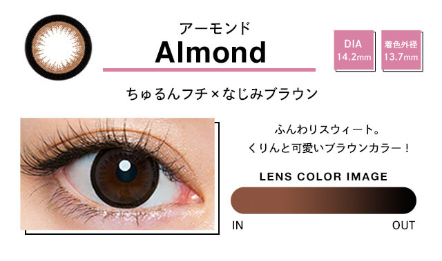 Almond アーモンド DIA 14.2mm 着色外径 13.7mm ちゅるんフチxなじみブラウン ふんわりスゥイート。くりんと可愛いブラウンカラー! LENS COLOR IMAGE IN OUT