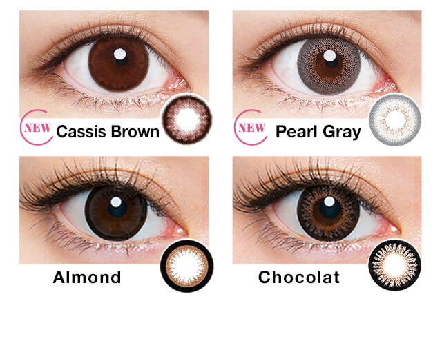 Cassis Brown Pearl Gray Almond Chocolat