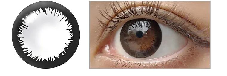 angeleyes-エンジェルアイズワンデーモイストUV-|アクセントブラック乱視用