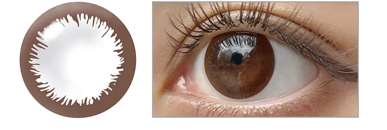 angeleyes-エンジェルアイズワンデーモイストUV-|ヴィヴィッドブラウン乱視用