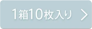 1箱10枚入り