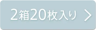 2箱20枚入り