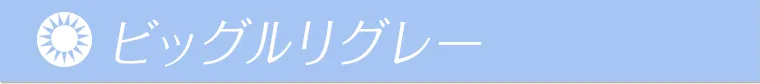 ビッグルリグレー