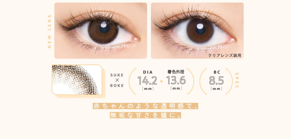 益若つばさプロデュースカラコン Bambi 1day Natural -バンビワンデーナチュラル |NEW LENS SUKE×BOKE SPEC DIA14.2(mm) 着色外径13.6(mm) BC8.5(mm) 赤ちゃんのような透明感で、無垢な甘さを瞳に。