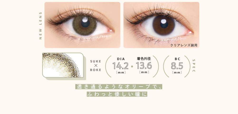 益若つばさプロデュースカラコン Bambi 1day Natural -バンビワンデーナチュラル |NEW LENS SUKE×BOKE SPEC DIA14.2(mm) 着色外径13.6(mm) BC8.5(mm) 透き通るようなオリーブで、ふわっと優しい瞳に。