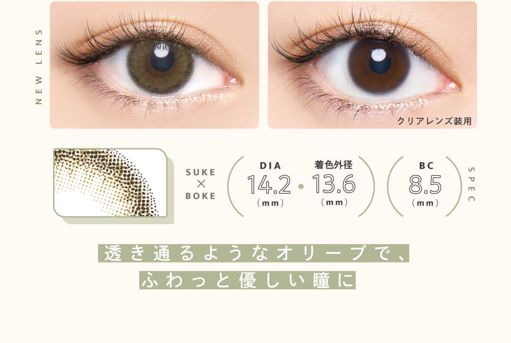 益若つばさプロデュースカラコン Bambi 1day Natural -バンビワンデーナチュラル |NEW LENS SUKE×BOKE SPEC DIA14.2(mm) 着色外径13.6(mm) BC8.5(mm) 透き通るようなオリーブで、ふわっと優しい瞳に。