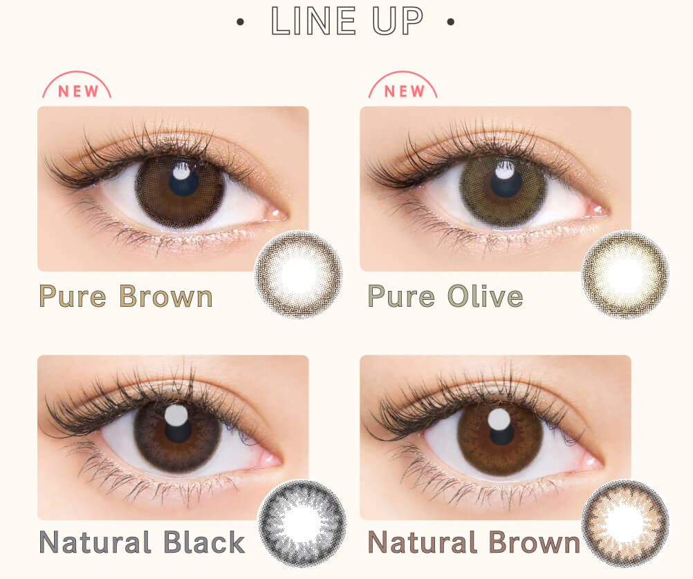 益若つばさプロデュースカラコン Bambi 1day Natural -バンビワンデーナチュラル |LINE UP NEW Pure Brown NEW Pure Olive Natural Black Natural Brown Natural Nude