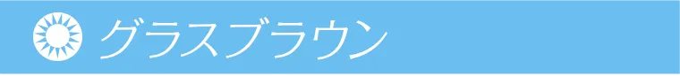 鈴木愛理イメージモデル｜candymagic 1day BLB -キャンディーマジックワンデー グラスブラウン