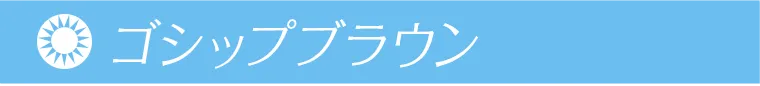 鈴木愛理イメージモデル｜candymagic 1day BLB -キャンディーマジックワンデー ゴシップブラウン