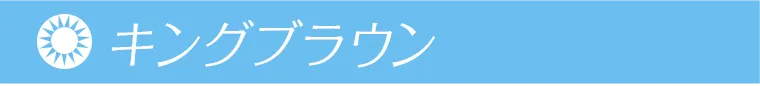 鈴木愛理イメージモデル｜candymagic 1day BLB -キャンディーマジックワンデー キングブラウン