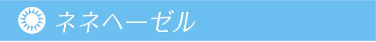 鈴木愛理イメージモデル｜candymagic 1day BLB -キャンディーマジックワンデー ネネヘーゼル
