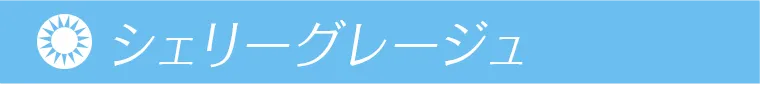 鈴木愛理イメージモデル｜candymagic 1day BLB -キャンディーマジックワンデー シェリーグレージュ