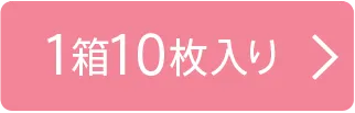 1箱10枚入り
