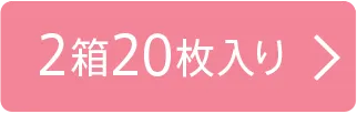 2箱20枚入り