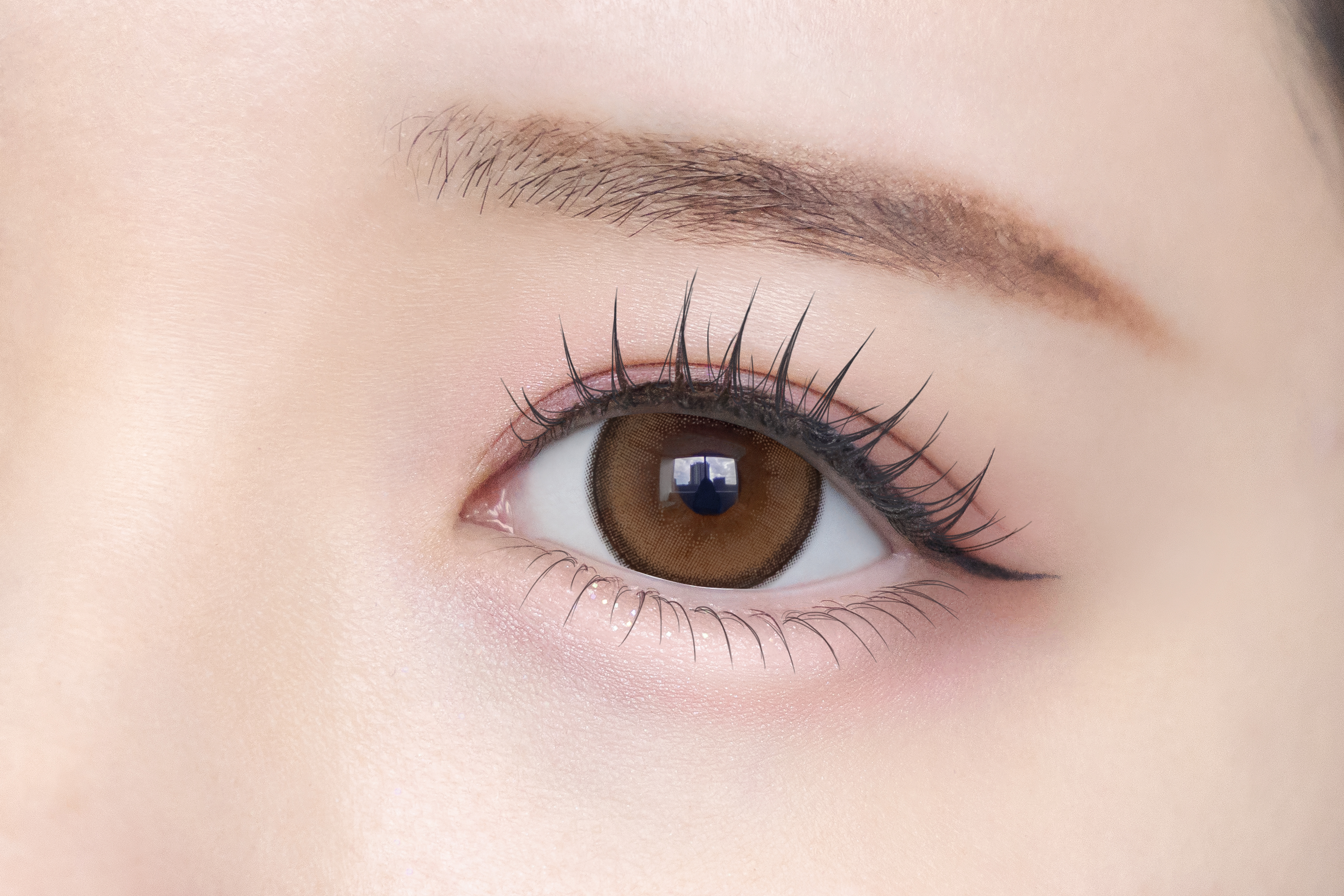 シャプンサムネイル