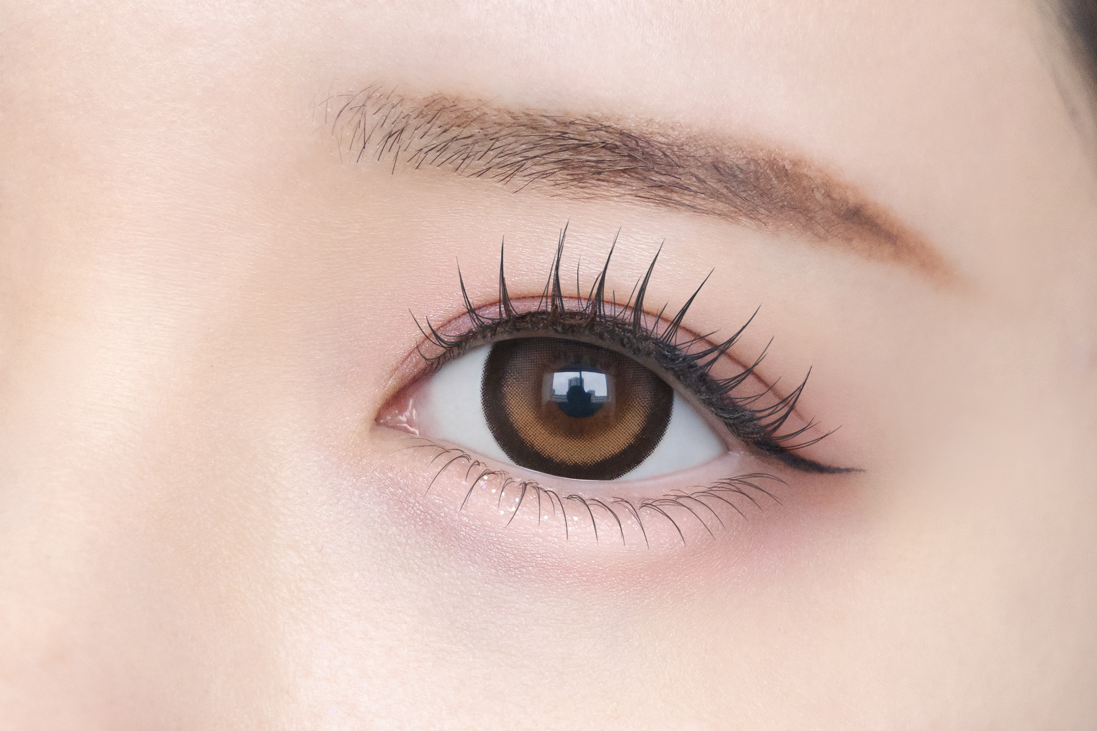 シャプンサムネイル