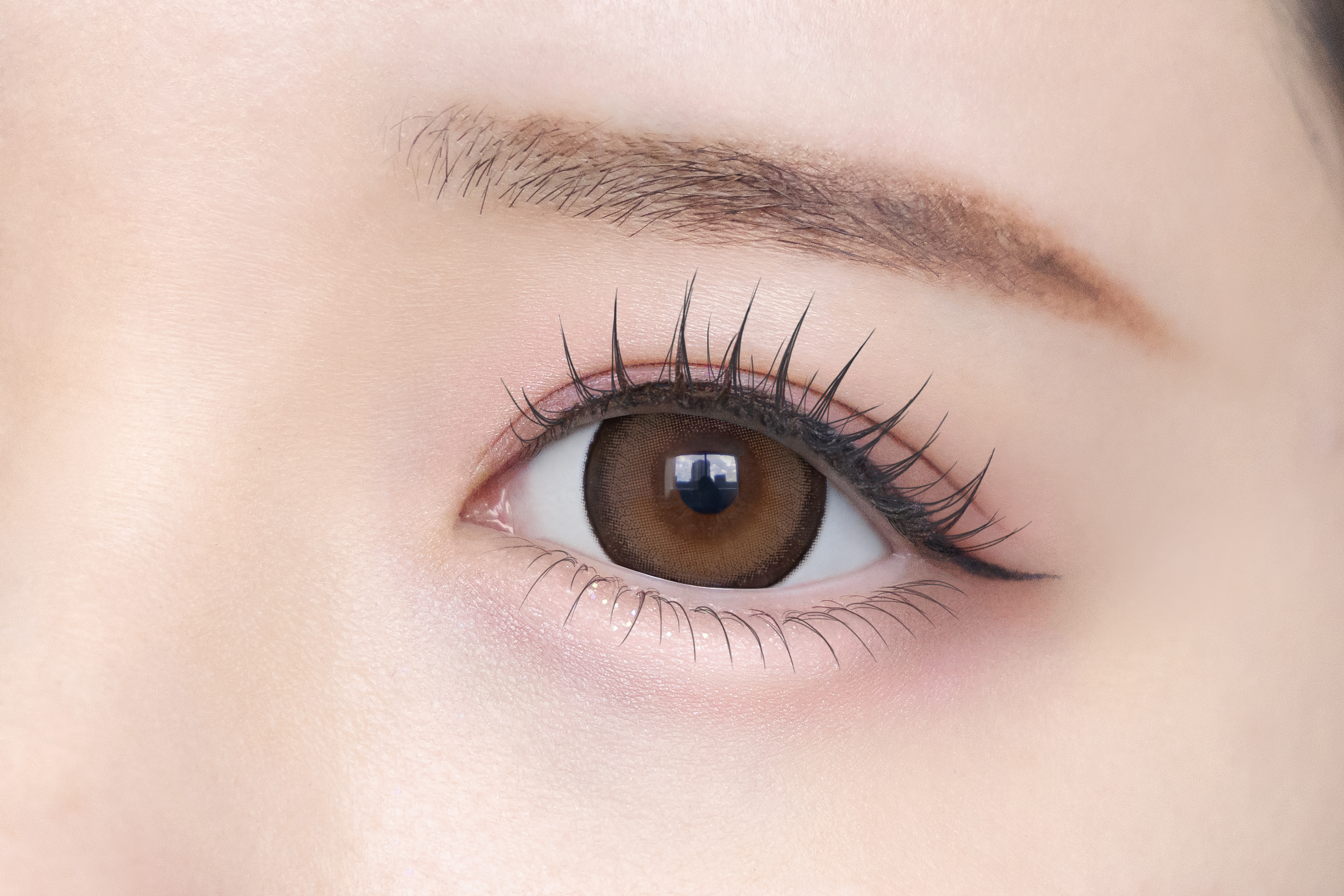 シャプンサムネイル