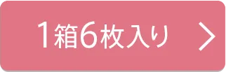 1箱6枚入り