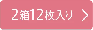 2箱12枚入り