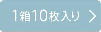 10枚入り×1箱