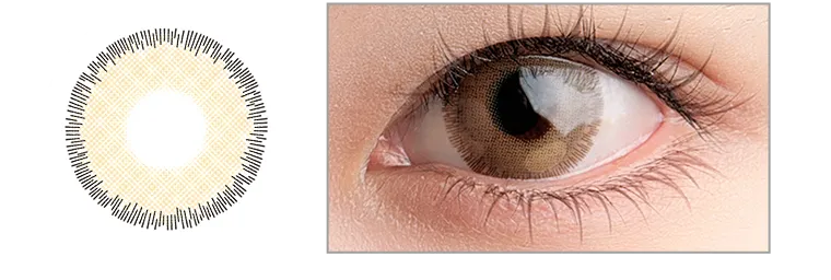 color01