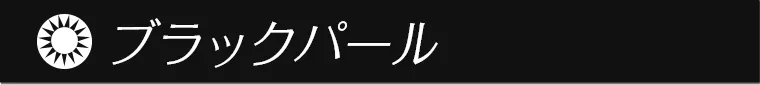 一条響イメージモデルカラコン colors -カラーズ ブラックパール