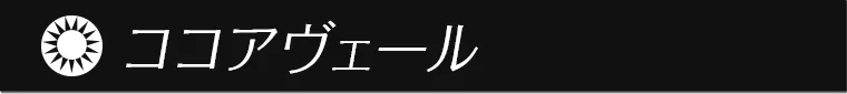 一条響イメージモデルカラコン colors -カラーズ ココアヴェール