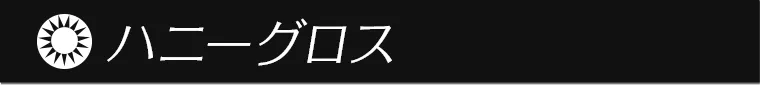一条響イメージモデルカラコン colors -カラーズ ハニーグロス