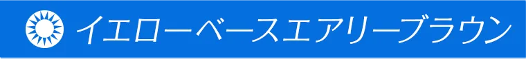 一条響イメージモデルカラコン colors -カラーズ イエローベースエアリーブラウン
