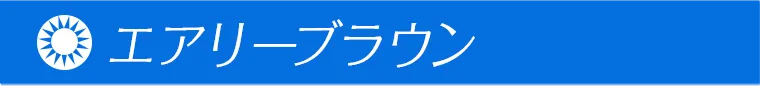 一条響イメージモデルカラコン colors -カラーズ エアリーブラウン