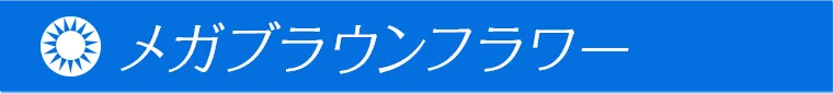 一条響イメージモデルカラコン colors -カラーズ メガブラウンフラワー