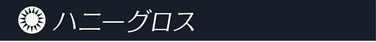 一条響イメージモデルカラコン colors -カラーズ ハニーグロス