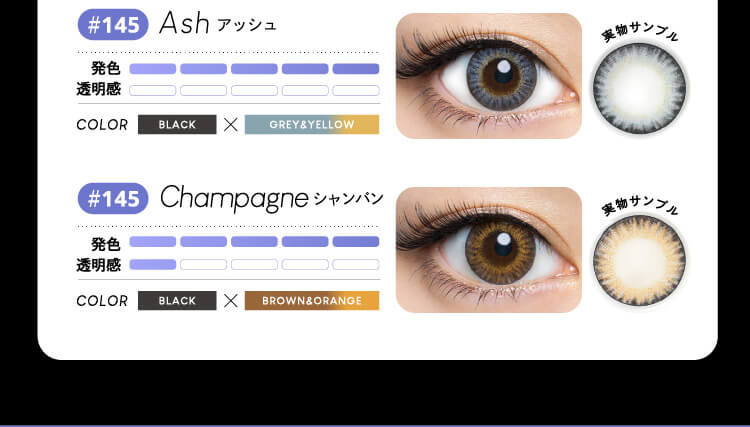 Ash アッシュ BLACK×GRAY&YELLOW Champagne シャンパン BLACK×BROWN&ORANGE
